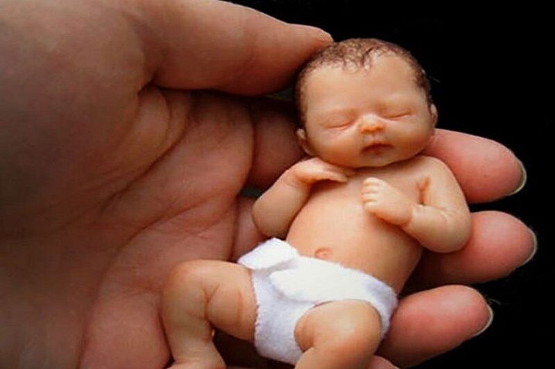 دبیر قرارگاه کشوری طرح نفس: روزانه یک‌هزار سقط جنین در کشور رخ می‌دهد
