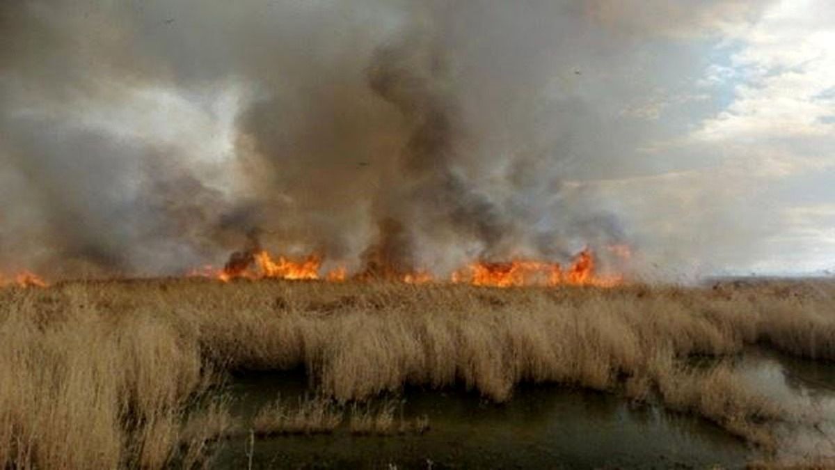 هواپیمای آبپاش برای خاموش کردن حریق تالاب هورالعظیم وارد عمل شد