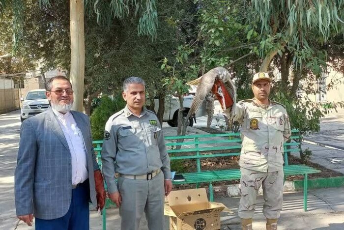 امسال ۳۵ شکارچی غیرمجاز در نواحی مرزی گنبدکاووس دستگیر شدند