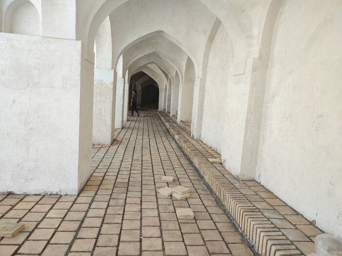 بازسازی بلاد شاپور؛ شکوه گذشته به کهگیلویه باز میگردد؟