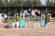 برترین‌های دور چهارم مسابقات پرش با اسب استان همدان معرفی شدند