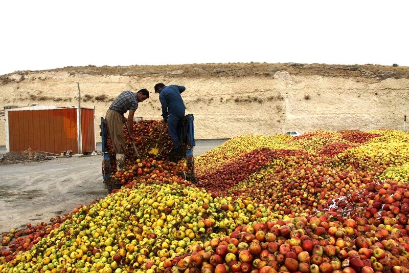 قوانین منسوخ موجب بی‌رغبتی سرمایه‌گذاران در کهگیلویه و بویراحمد شده است 