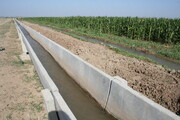 استفاده غیربهینه آب در بخش کشاورزی هدررفت سرمایه ملی است 
