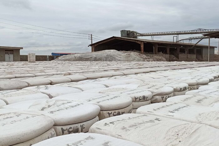 سازمان پنبه کشور احیا میشود