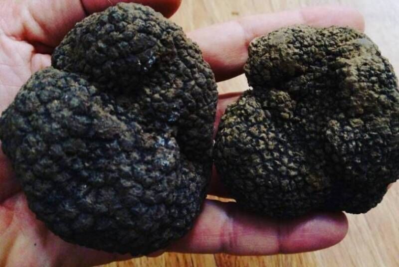 225 kilograms of opium seized in Semnan