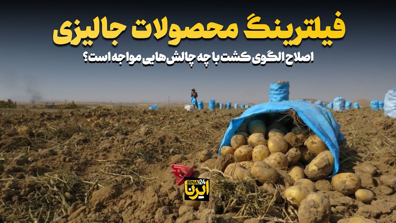 فیلترینگ محصولات جالیزی فیلترینگ محصولات جالیزی