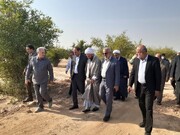 رئیس سازمان منابع طبیعی: ایران از واردات چوب و کاغذ بی نیاز می شود
