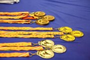 دختران کاراته کای قشمی در مسابقات بین‌المللی ۱۳ مدال کسب کردند