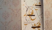 رادیو کتاب ایرنا سمنان | «در غبار خویش» اشعاری از عبدالله صالحی