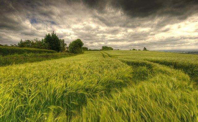 اصلاح الگوی کشت، ناجی زمینِ بحرانزده از کمآبی