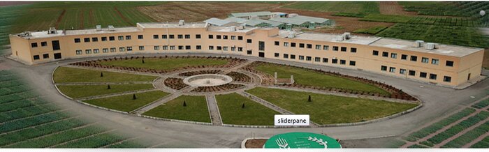 ۳۳ درصد از بذر گندم دیم در داخل کشور تولید شد