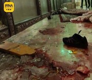 مسؤول : ارتفاع ضحايا الهجوم الارهابي في شيراز الى 15 شهيدا