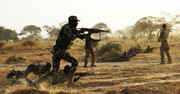 عناصر مسلح در نیجریه ۱۱ نفر را کشته و دهها نفر را ربودند