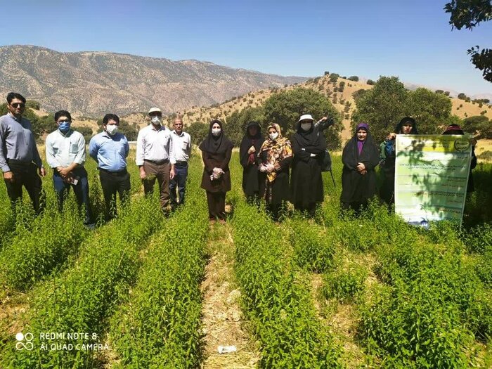 داروخانهای به وسعت یک استان