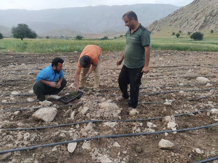 داروخانهای به وسعت یک استان