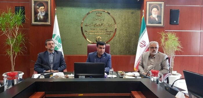 سلاجقه بر ساماندهی واردات چوب به کشور تاکید کرد