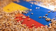 Tahıl Anlaşmasını Askıya Alan Rusya'dan Yeni Karar