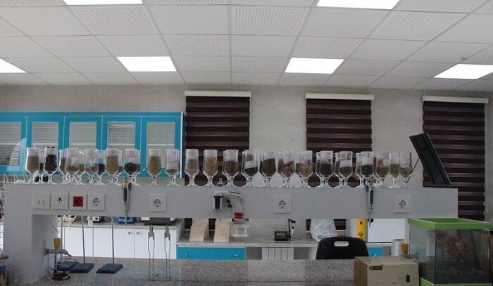 گیاهان دارویی خراسان جنوبی محروم از فرآوری و علمی شدن