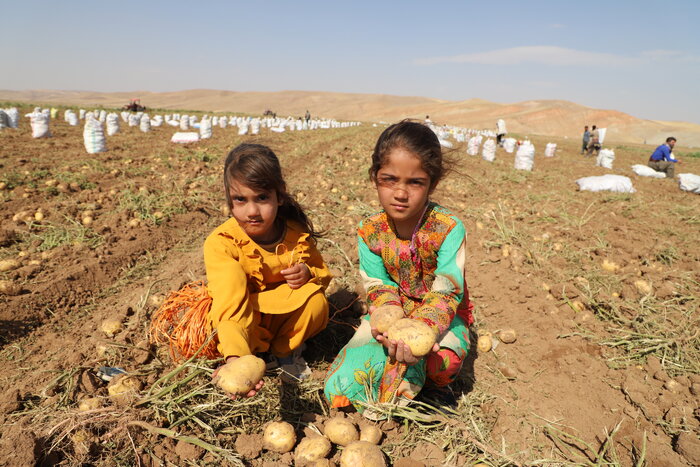 نماینده مجلس: کارگاه عمرانی جاده سرچم – میاندوآب با وجود سرما فعال است