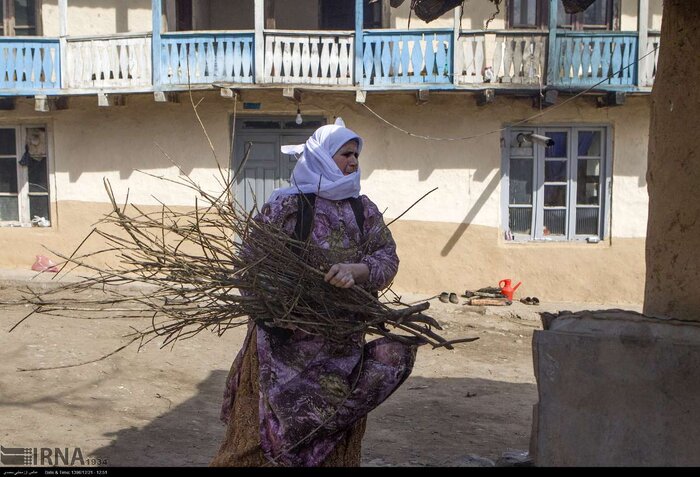 بومگردی و کشمکش کپی برابر اصل