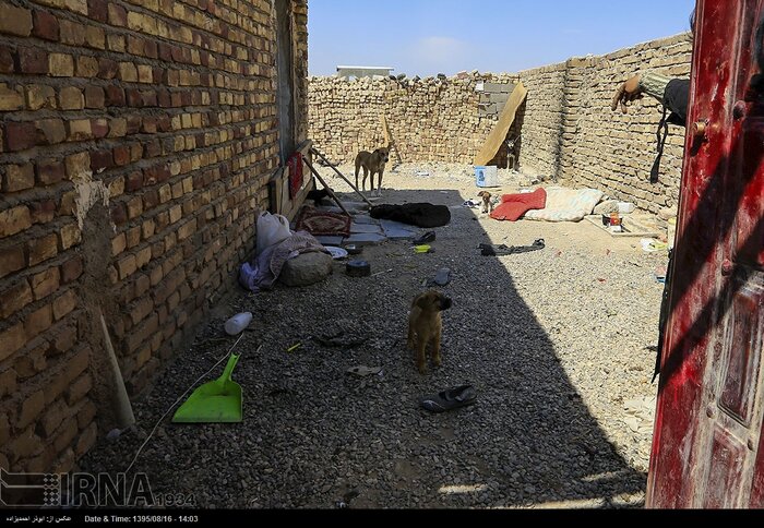 رییسکل دادگستری کرمان: حاشیه نشینی بیشتر در اراضی دولتی شکل میگیرد