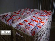 ۷۵۰ تن مرغ منجمد با نرخ مصوب در گیلان توزیع شد