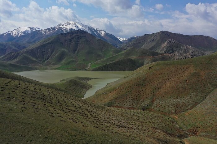 جنگلداری اجتماعی؛ راه آخر احیای زاگرس