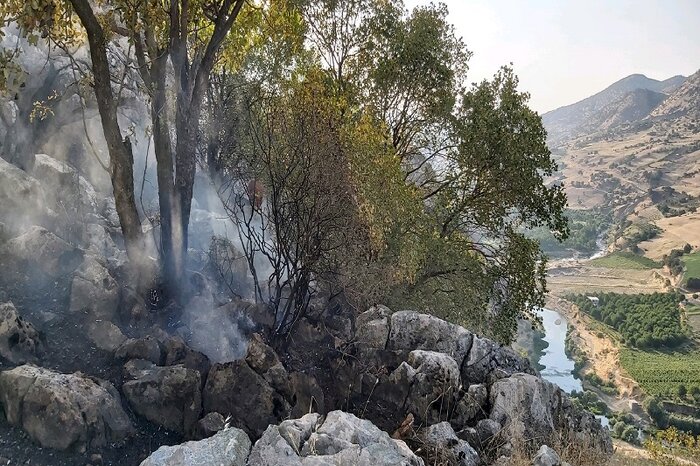 جنگلداری اجتماعی؛ راه آخر احیای زاگرس