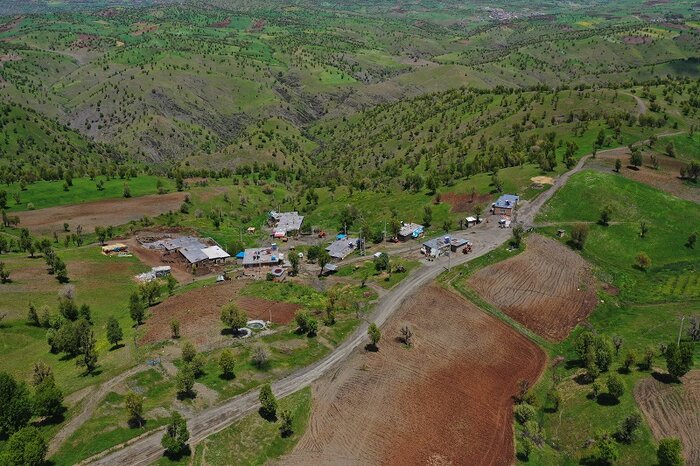 جنگلداری اجتماعی؛ راه آخر احیای زاگرس