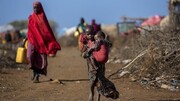 فائو: یک میلیون و ۹۰۰ هزار نفر در سومالی با ناامنی شدید غذایی مواجه هستند