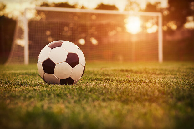 ضرورت حمایت بیشتر بخش خصوصی از ورزش حرفهای یزد