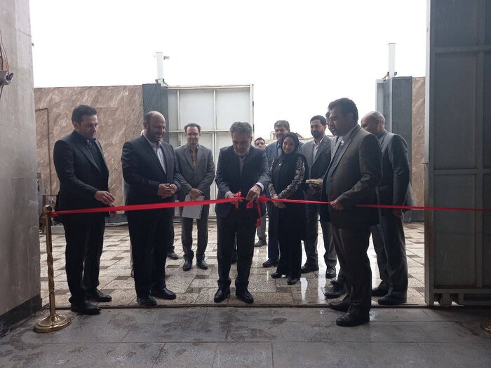 معاون وزیر تعاون: ۳۲ درصد از بیکاران کشور را زنان تشکیل میدهند