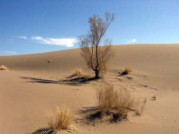 ۳۰ هزار هکتار از عرصههای ملی قم بیابان شد ۳۰ هزار هکتار از عرصههای ملی قم بیابان شد