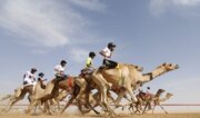 مسابقه شتر سواری در روستای گورزین قشم برگزار شد