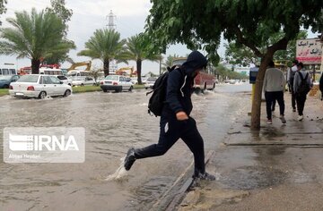 سامانه بارشی در راه بوشهر