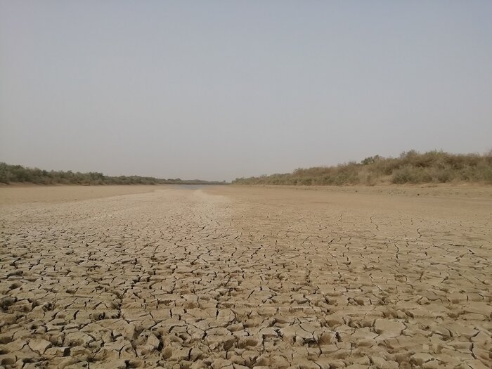 تامین نشدن حقآبه، تالاب "حله" بوشهر را فصلی کرده است