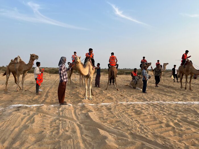 مسابقه شتر سواری در روستای کورزین قشم برگزار شد