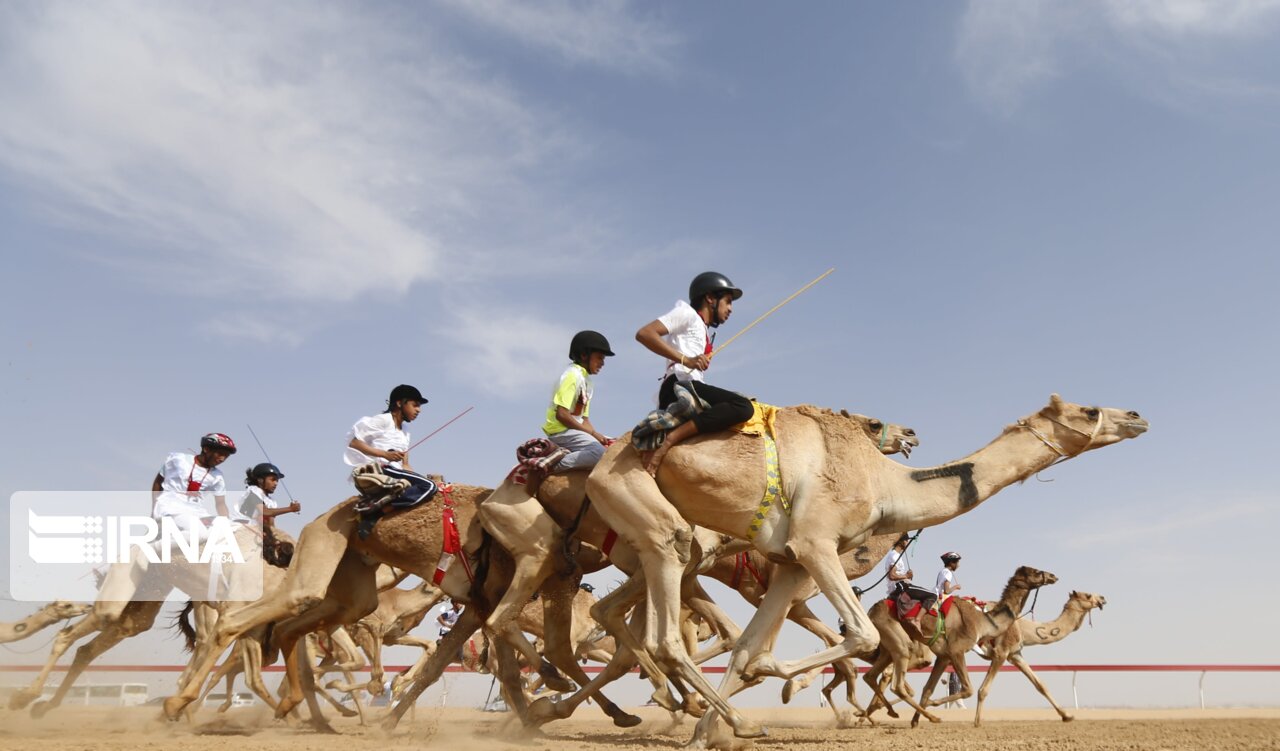 مسابقه شتر سواری در روستای گورزین قشم برگزار شد