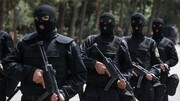 Desmantelado un grupo terrorista en el suroeste de Irán