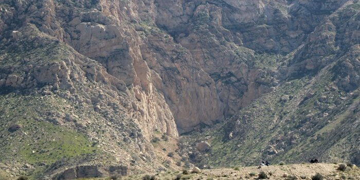 حماسه زنان "لَردِه" دشتستان، الگویی هویت ساز برای زنان ایرانی