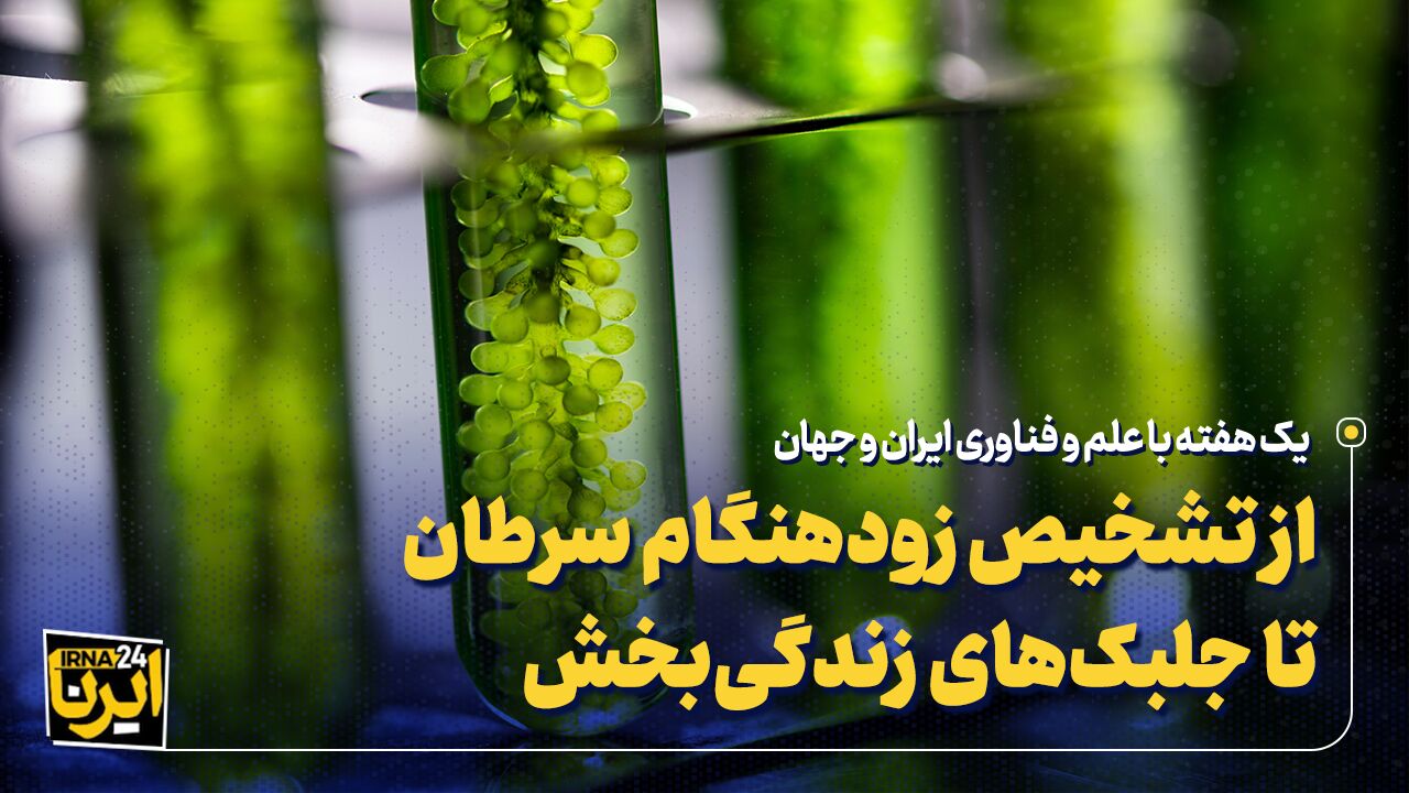 از تشخیص زودهنگام سرطان تا جلبک‌های زندگی‌بخش