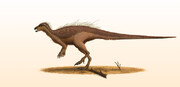 گونه‌ای جدید از دایناسورهای گیاهخوار در نِوادا کشف شد