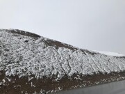 بارش اولین برف پاییزی در جاده گدوک فیروزکوه