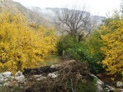 روستای مارین گچساران سرزمین جاذبه‌های هزار رنگ پاییزی 
