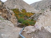 تجربه پاییزگردی در روستای مارین گچساران بهشت گمشده جنوب ایران