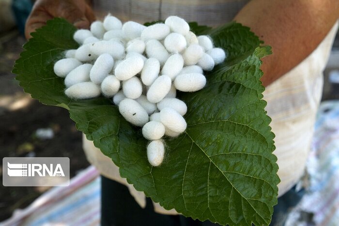 زدودن غبار محرومیت از قامت مرزنشینان خراسانشمالی