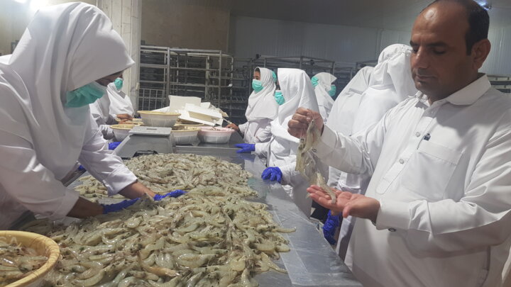 برگزاری سومین همایش ملی اصلاح ساختار مزارع پرورش میگو در چابهار