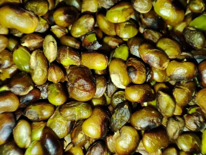 سوغاتی های کهگیلویه و بویراحمد
