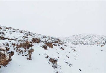 برف ارتفاعات تربت‌حیدریه را سفید پوش کرد