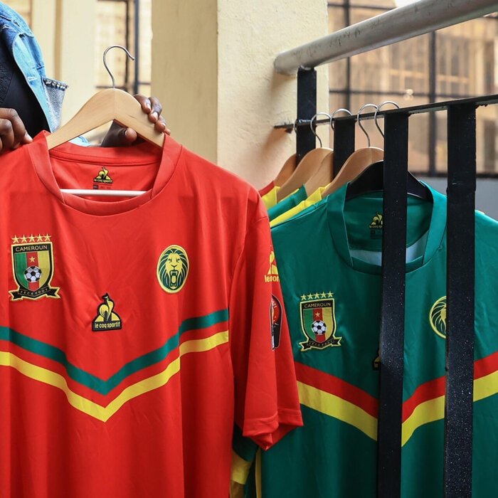 شیرهای رام نشدنی با پوششی خاص در قطر؛ مثل ۲۰۰۲ سورپرایز میشوید